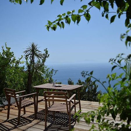 Casa Flora Bed & Breakfast Vietri Luaran gambar