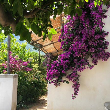 Casa Flora Bed & Breakfast Vietri Luaran gambar