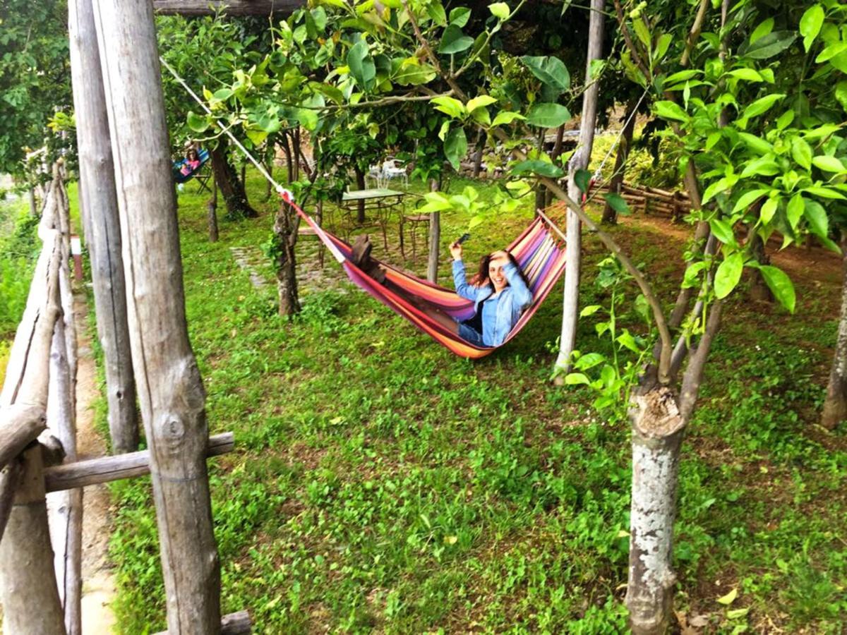 Casa Flora Bed & Breakfast Vietri Luaran gambar