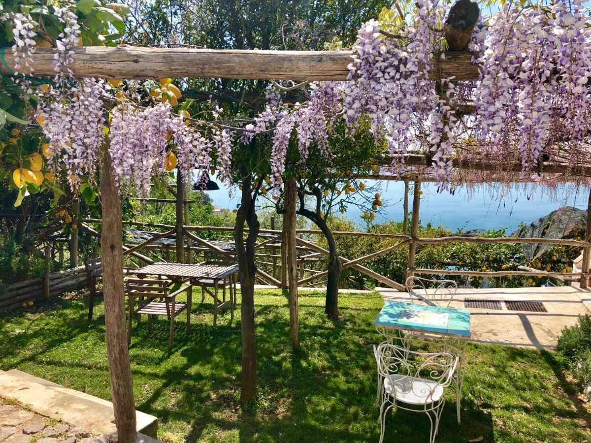 Casa Flora Bed & Breakfast Vietri Luaran gambar